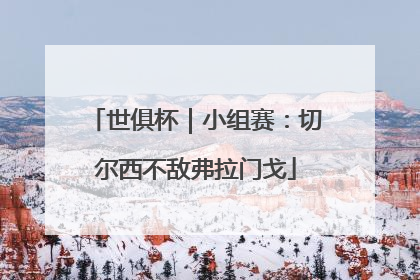 世俱杯｜小组赛：切尔西不敌弗拉门戈