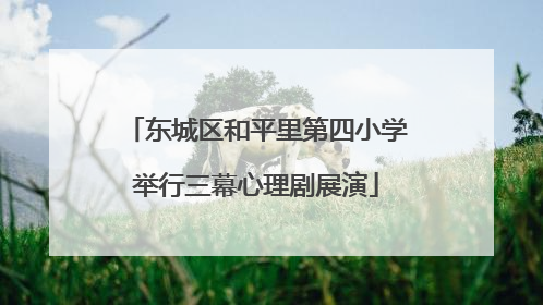 东城区和平里第四小学举行三幕心理剧展演