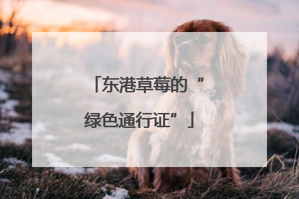 东港草莓的“绿色通行证”