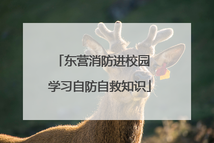 东营消防进校园 学习自防自救知识