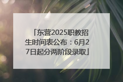 东营2025职教招生时间表公布：6月27日起分两阶段录取