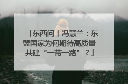 东西问丨冯慧兰：东盟国家为何期待高质量共建“一带一路”？