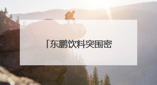 东鹏饮料突围密码：三次关键抉择背后的战略远见与社会责任