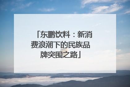 东鹏饮料：新消费浪潮下的民族品牌突围之路