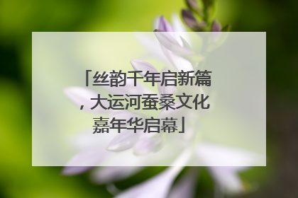 丝韵千年启新篇，大运河蚕桑文化嘉年华启幕
