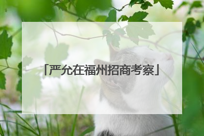 严允在福州招商考察