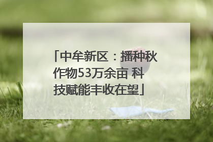 中牟新区：播种秋作物53万余亩 科技赋能丰收在望