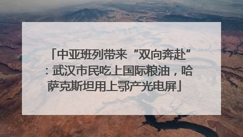中亚班列带来“双向奔赴”：武汉市民吃上国际粮油，哈萨克斯坦用上鄂产光电屏