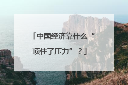 中国经济靠什么“顶住了压力”？