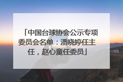 中国台球协会公示专项委员会名单：潘晓婷任主任，赵心童任委员