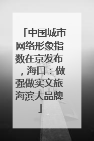 中国城市网络形象指数在京发布，海口：做强做实文旅海滨大品牌
