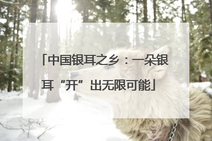 中国银耳之乡：一朵银耳“开”出无限可能