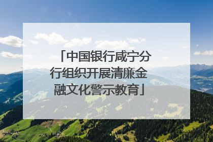 中国银行咸宁分行组织开展清廉金融文化警示教育