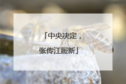 中央决定，张传江履新
