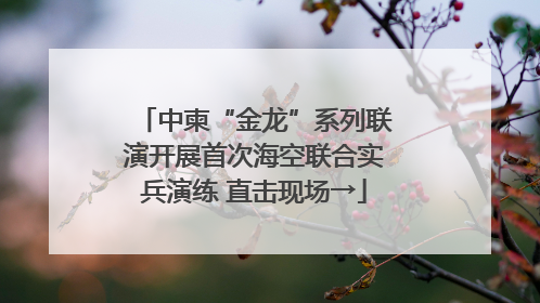 中柬“金龙”系列联演开展首次海空联合实兵演练 直击现场→