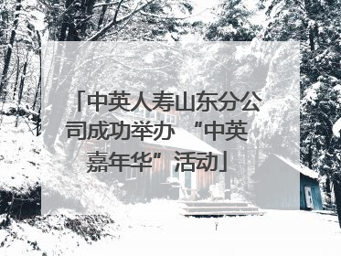 中英人寿山东分公司成功举办 “中英嘉年华”活动