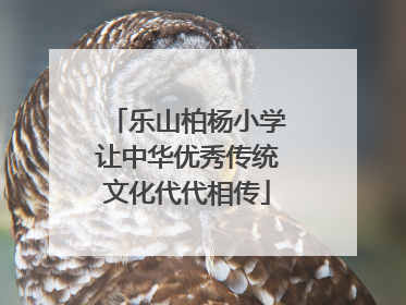 乐山柏杨小学让中华优秀传统文化代代相传