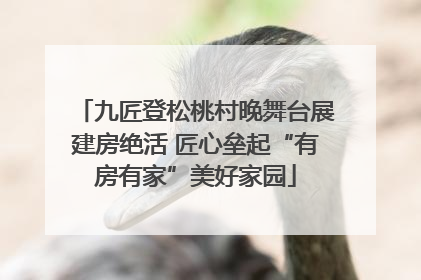 九匠登松桃村晚舞台展建房绝活 匠心垒起“有房有家”美好家园