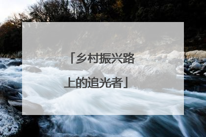 乡村振兴路上的追光者