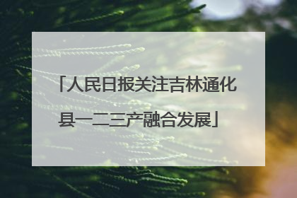 人民日报关注吉林通化县一二三产融合发展