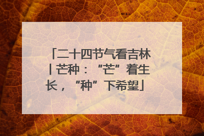 二十四节气看吉林丨芒种：“芒”着生长，“种”下希望