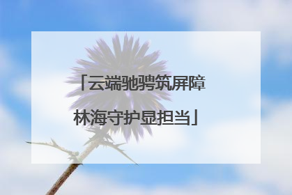 云端驰骋筑屏障 林海守护显担当