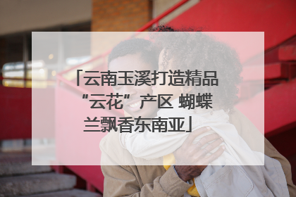 云南玉溪打造精品“云花”产区 蝴蝶兰飘香东南亚