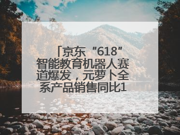 京东“618”智能教育机器人赛道爆发，元萝卜全系产品销售同比171%成黑马