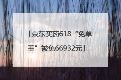 京东买药618“免单王”被免66932元