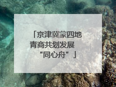 京津冀蒙四地青商共划发展 “同心舟”