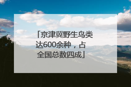 京津冀野生鸟类达600余种，占全国总数四成