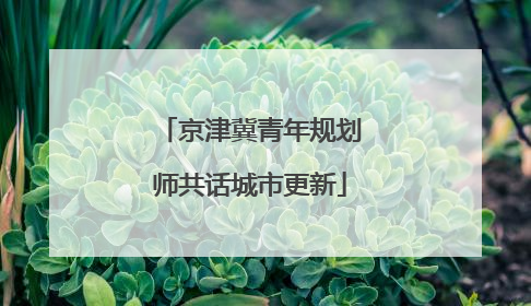 京津冀青年规划师共话城市更新