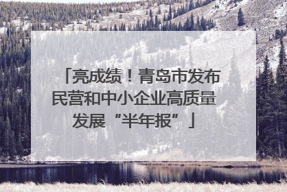 亮成绩！青岛市发布民营和中小企业高质量发展“半年报”