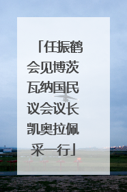 任振鹤会见博茨瓦纳国民议会议长凯奥拉佩采一行