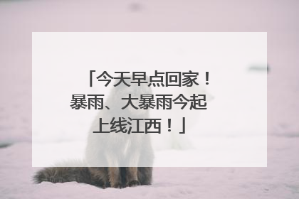 今天早点回家！暴雨、大暴雨今起上线江西！