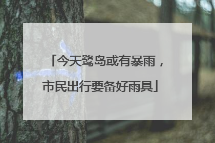 今天鹭岛或有暴雨，市民出行要备好雨具