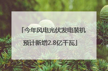 今年风电光伏发电装机预计新增2.8亿千瓦