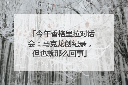今年香格里拉对话会：马克龙创纪录，但也就那么回事