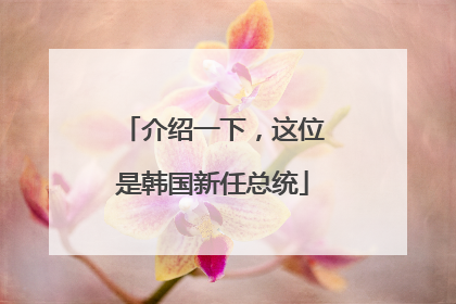 介绍一下，这位是韩国新任总统