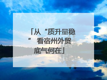 从“质升量稳” 看宿州外贸底气何在