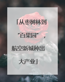 从枣树林到“百果园”，航空新城种出大产业