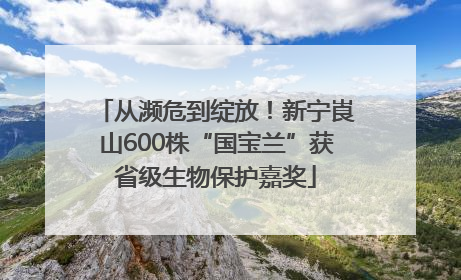 从濒危到绽放！新宁崀山600株“国宝兰”获省级生物保护嘉奖
