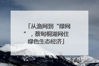 从渔网到“绿网”，蔡甸桐湖网住绿色生态经济