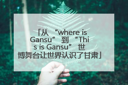 从 “where is Gansu” 到 “This is Gansu” 世博舞台让世界认识了甘肃