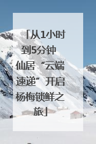 从1小时到5分钟 仙居“云端速递”开启杨梅锁鲜之旅