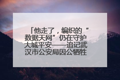 他走了，编织的“数据天网”仍在守护大城平安——追记武汉市公安局因公牺牲民警万松