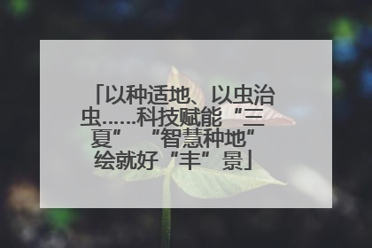 以种适地、以虫治虫……科技赋能“三夏” “智慧种地”绘就好“丰”景