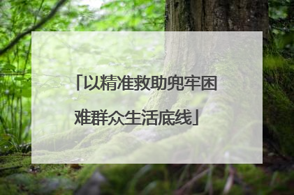 以精准救助兜牢困难群众生活底线