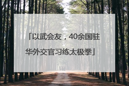 以武会友，40余国驻华外交官习练太极拳