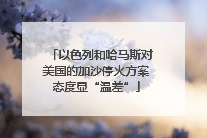 以色列和哈马斯对美国的加沙停火方案态度显“温差”